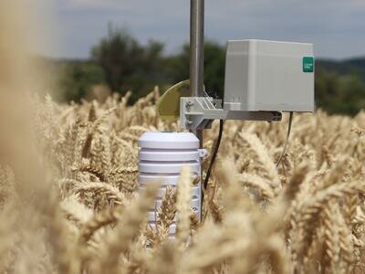 507